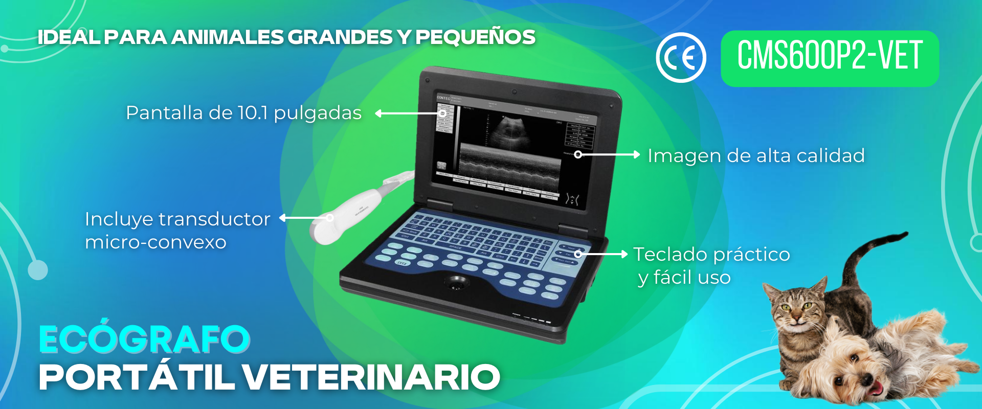 Clarico-Full Image