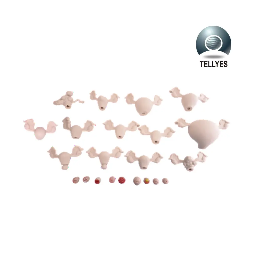 [TYE1814] Simulador ginecologico avanzado plus (1).webp