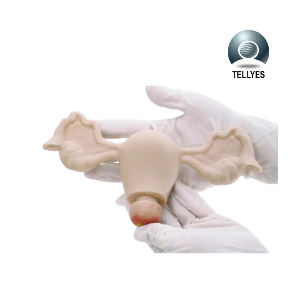 [TYE1814] Simulador ginecologico avanzado plus (3).webp