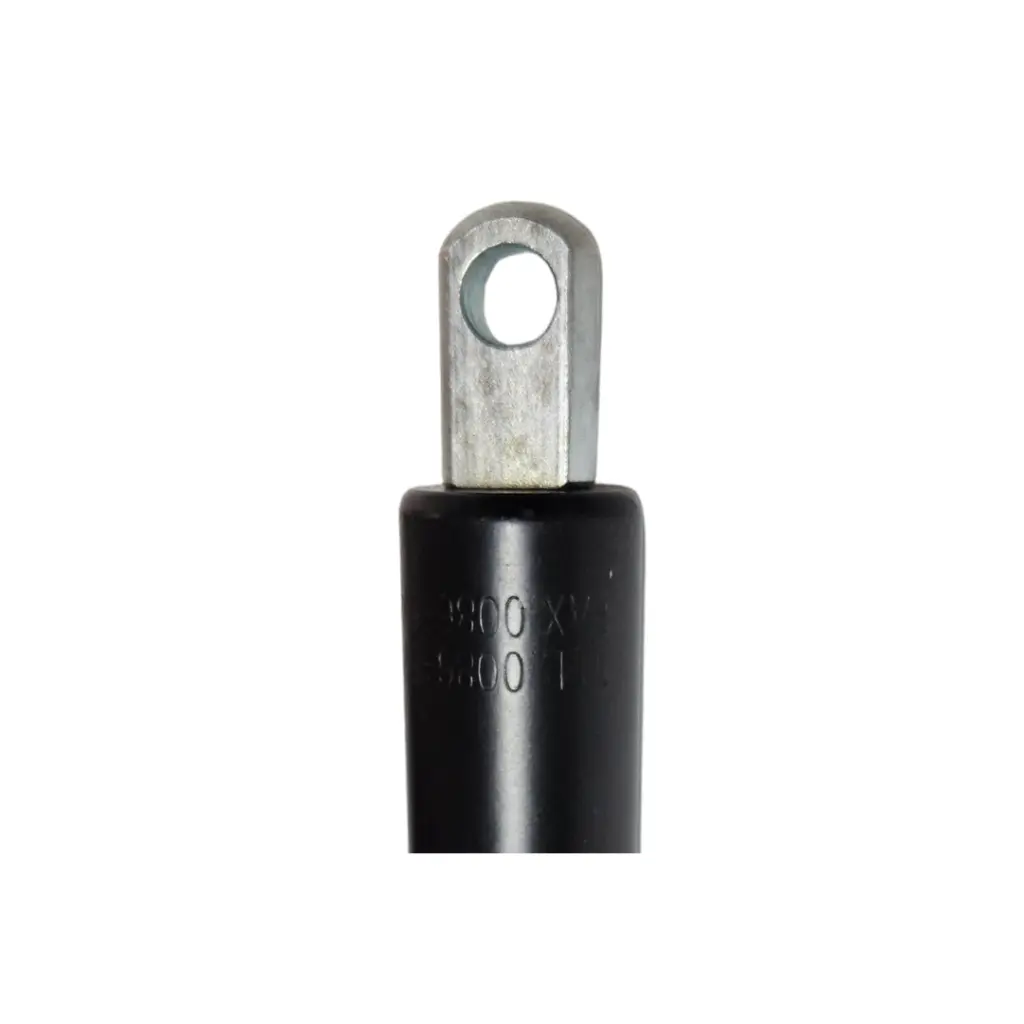 [HF053P010009] Piston Neumaticocabecera, for ST-2000, Advanced (3).webp