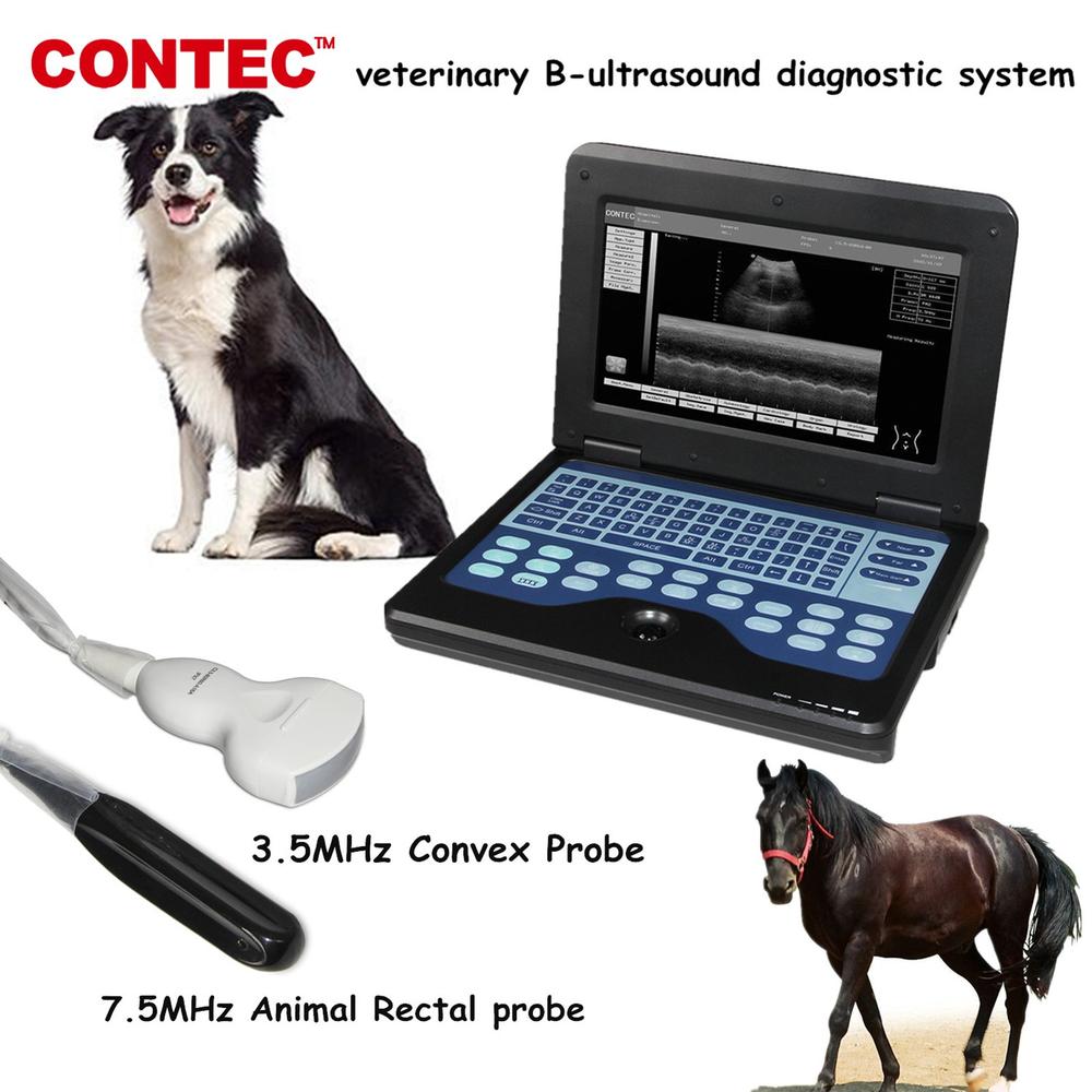 Ecografo portatil 10", laptop, + 1 transductor endocavitorio. Uso veterinario.1