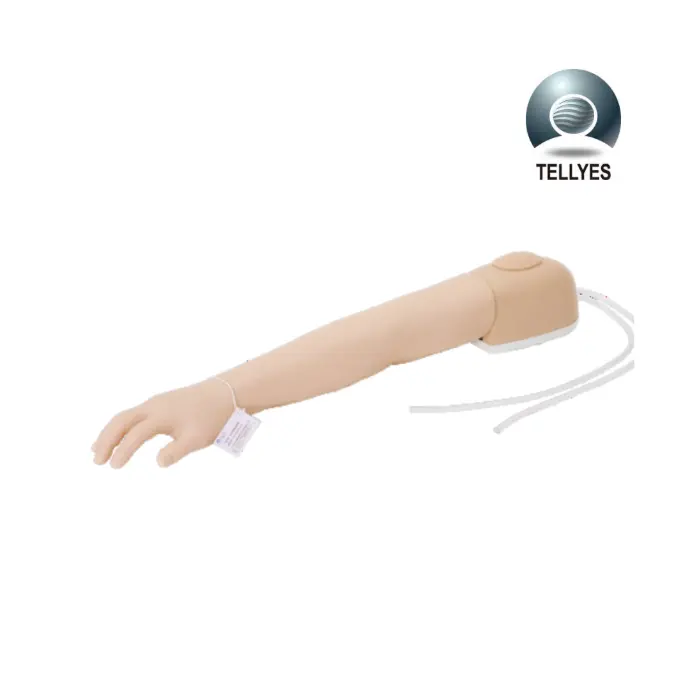 Brazo de entrenamiento IV adulto.