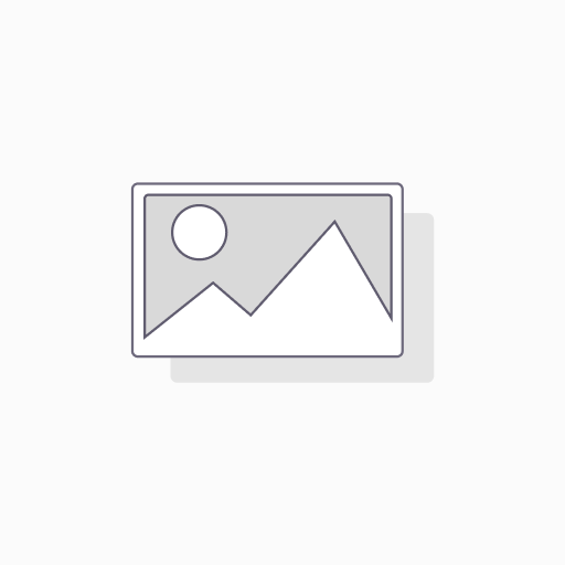 Anillo elastico retencion externo 25mm, para autoclave AB-25, Phoenix