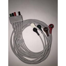 [PM011A040011] ECG cable terminal  5 leads, Adulto, snap, TPU, AHA para D100, Advanced