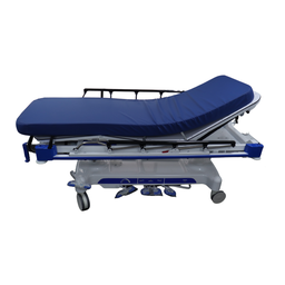 [COL-ST300] Colchoneta para camilla ST300
