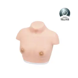 [TYE4673] Modelo de inspeccion y palpacion mamaria