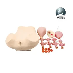 [TYE4691] Simulador avanzado de examen ginecológico